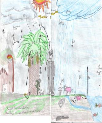 Ciclos Biogeoquimicos